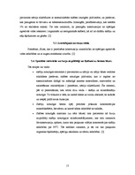 Referāts 'Betona grīdu betonēšana', 13.