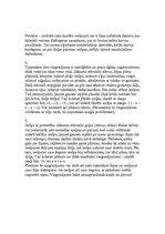 Konspekts 'Dziļas un pareizas elpošanas nosacījumi', 2.