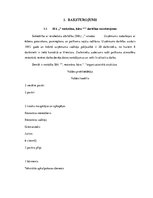 Referāts 'Konkurētspējas analīze', 4.