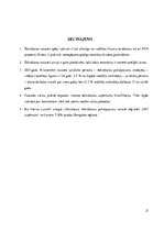 Referāts 'Konkurētspējas analīze', 21.