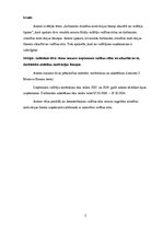 Referāts 'Darbinieku atzinības motivācijas līmeņi atkarībā no vadītāju tipiem', 2.