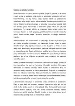 Eseja 'Baroks – mākslas, filozofijas un sabiedrības mijiedarbība', 1.