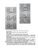 Konspekts 'Noslēguma pārbaudījumu jautājumi psiholoģijā', 7.