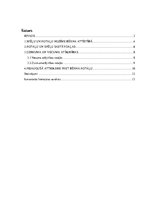 Referāts 'Rotaļu un spēļu animācijas metodes', 2.