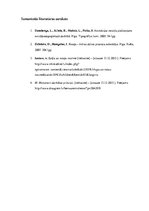 Referāts 'Rotaļu un spēļu animācijas metodes', 13.