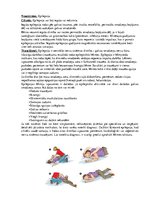 Konspekts 'Epilepsija', 1.