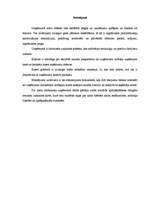 Prakses atskaite 'Prakses atskaite un prakses dienasgrāmata', 14.