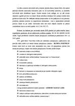 Prakses atskaite 'Prakses atskaite AS "Baltic Trust Bank"', 13.