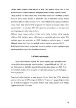 Referāts 'Kreditēšanas problemātika Latvijā', 19.