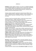 Eseja 'Jūdaisms', 1.