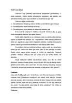 Eseja 'Uzdevumu kopa komunikatīvās prasmes veicināšanai', 1.