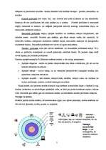 Referāts 'B.Ņūmenas teorijas analīze', 5.