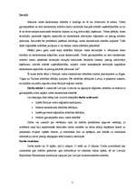 Referāts 'Rīgas, Viļņas un Tallinas loma Baltijas valstu ekonomikas attīstībā laika period', 3.