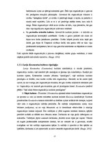 Diplomdarbs 'Organizācijas kultūras izmaiņas ekonomiskās krīzes laikā', 13.