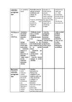 Konspekts 'Personības attīstības svarīgākās jomas latviešu valodas programmā', 3.