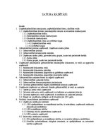 Prakses atskaite 'SIA "Jusa Plus"', 1.