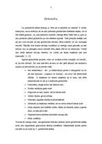 Referāts 'Skaistais gaidīšanas laiks. Grūtniecība', 3.