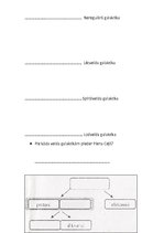 Paraugs 'Visums un daļiņas', 3.