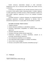 Referāts 'Organizatoriskie dokumenti', 6.