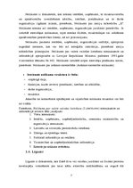 Referāts 'Organizatoriskie dokumenti', 7.