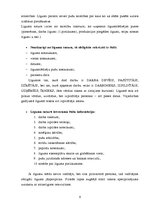 Referāts 'Organizatoriskie dokumenti', 8.