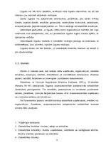 Referāts 'Organizatoriskie dokumenti', 9.