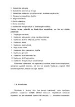 Referāts 'Organizatoriskie dokumenti', 10.