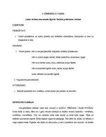 Referāts 'Šūšanas mape', 3.