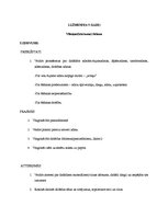 Referāts 'Šūšanas mape', 5.