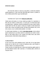 Referāts 'Šūšanas mape', 8.