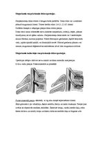 Referāts 'Neiroķirurģisko operāciju apraksti', 8.