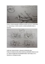 Referāts 'Neiroķirurģisko operāciju apraksti', 20.