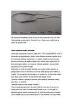 Referāts 'Neiroķirurģisko operāciju apraksti', 22.