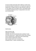 Referāts 'Neiroķirurģisko operāciju apraksti', 27.