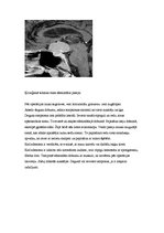 Referāts 'Neiroķirurģisko operāciju apraksti', 29.