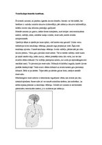 Referāts 'Neiroķirurģisko operāciju apraksti', 30.