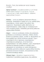 Referāts 'Fitness un aerobika', 9.