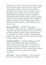 Referāts 'Fitness un aerobika', 11.