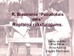 Prezentācija 'R.Blaumanis "Pazudušais dēls". Roplaiņa raksturojums', 1.