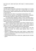 Referāts 'SIA "Firma" finanšu analīze', 12.