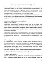 Referāts 'SIA "Firma" finanšu analīze', 13.