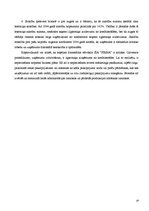 Referāts 'SIA "Firma" finanšu analīze', 19.