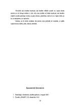 Referāts 'Neverbālā valoda', 29.