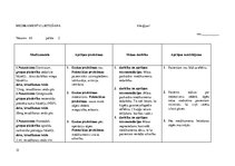 Prakses atskaite 'Pacienta aprūpes vēsture, ķirurģija', 15.
