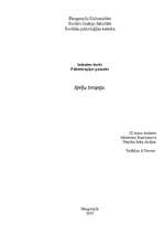 Referāts 'Spēļu terapija', 1.