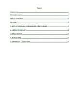 Referāts 'Spēļu terapija', 2.