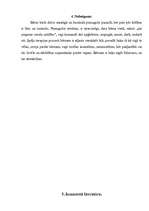 Referāts 'Spēļu terapija', 9.