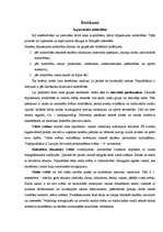 Konspekts 'Ārpusstundu nodarbības', 1.