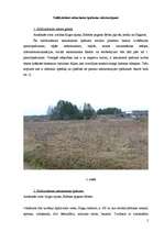 Referāts 'Zemes tirgus vērtības noteikšana, izmantojot salīdzināšanas metodi', 5.