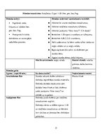 Prakses atskaite 'Prakses atskaite: angļu valodas skolotājs', 37.